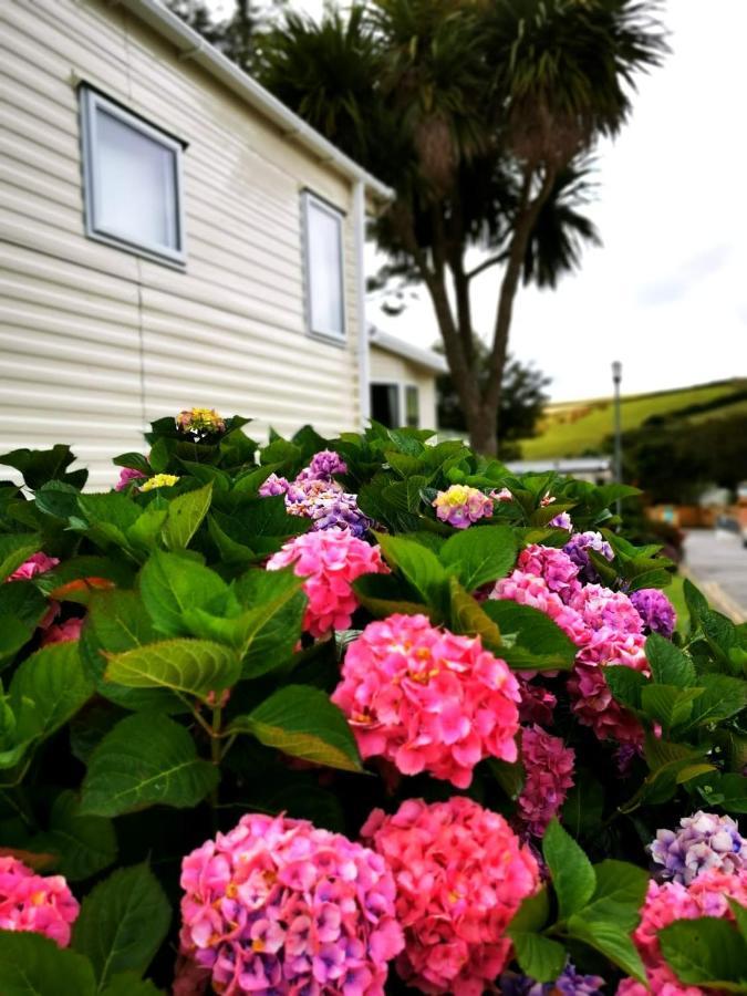 Newquay Buy Resort Holiday 外观 照片